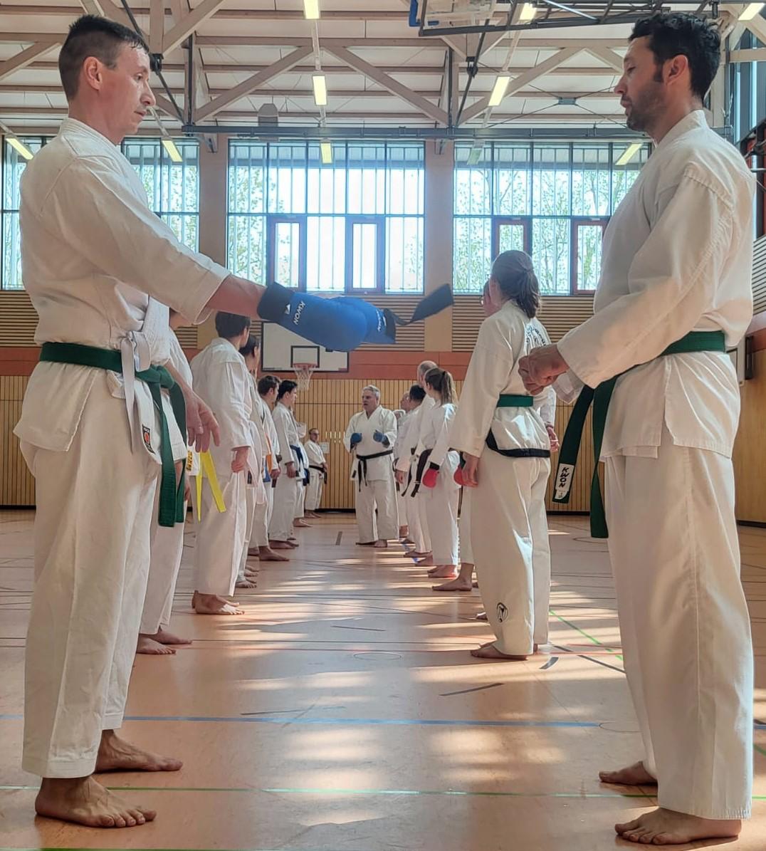 WhatsApp Image 2025 05 02 at 21.07.49